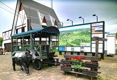 jZRw